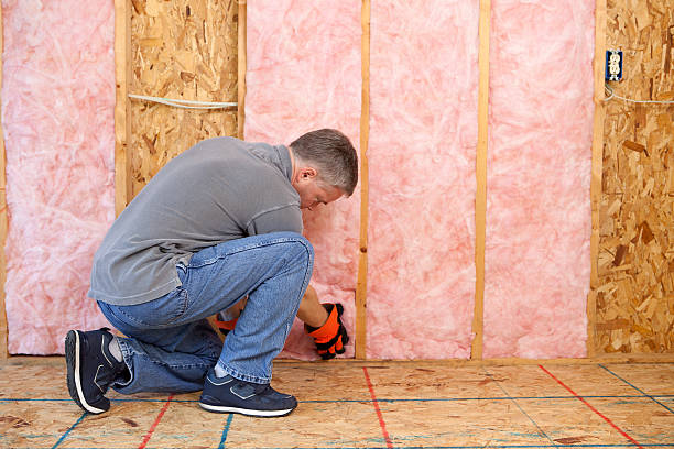 Best Eco-Friendly Insulation in Audubon Park, NJ